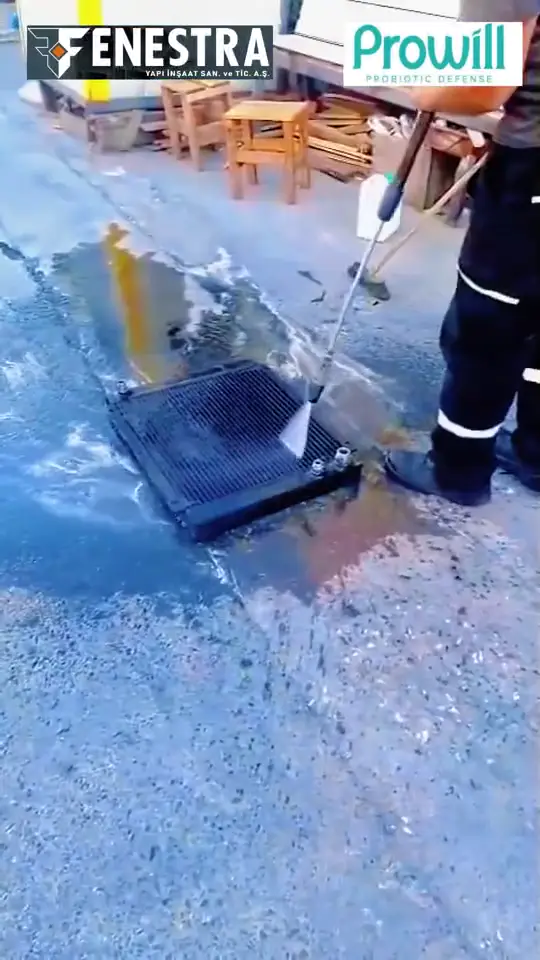 Fenestra saha videosu