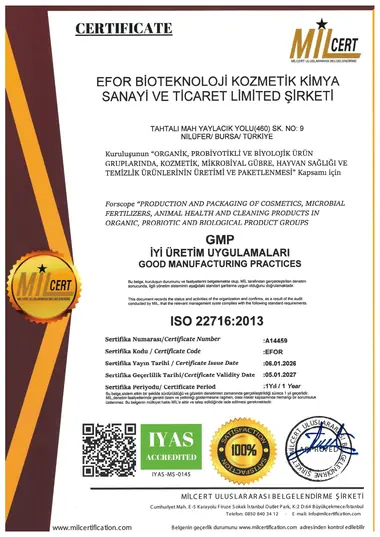 ISO 22716:2013 sertifikası