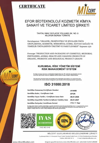 ISO 31000:2018 sertifikası