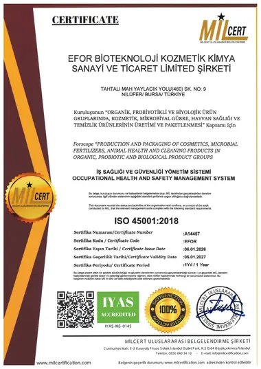 ISO 45001:2018 sertifikası