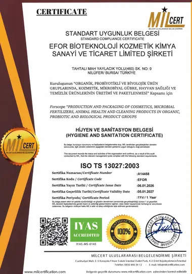 ISO/TS 13027:2003 sertifikası
